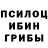 Галлюциногенные грибы прущие грибы Andy Leibrook