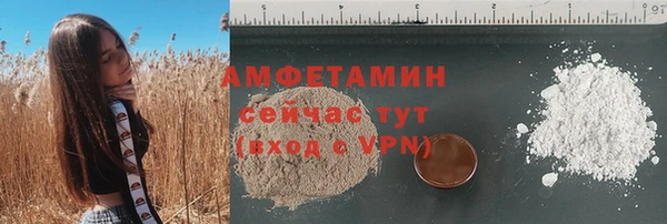 крисы Армянск