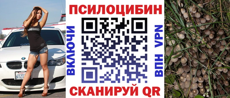 Псилоцибиновые грибы Magic Shrooms  Райчихинск 
